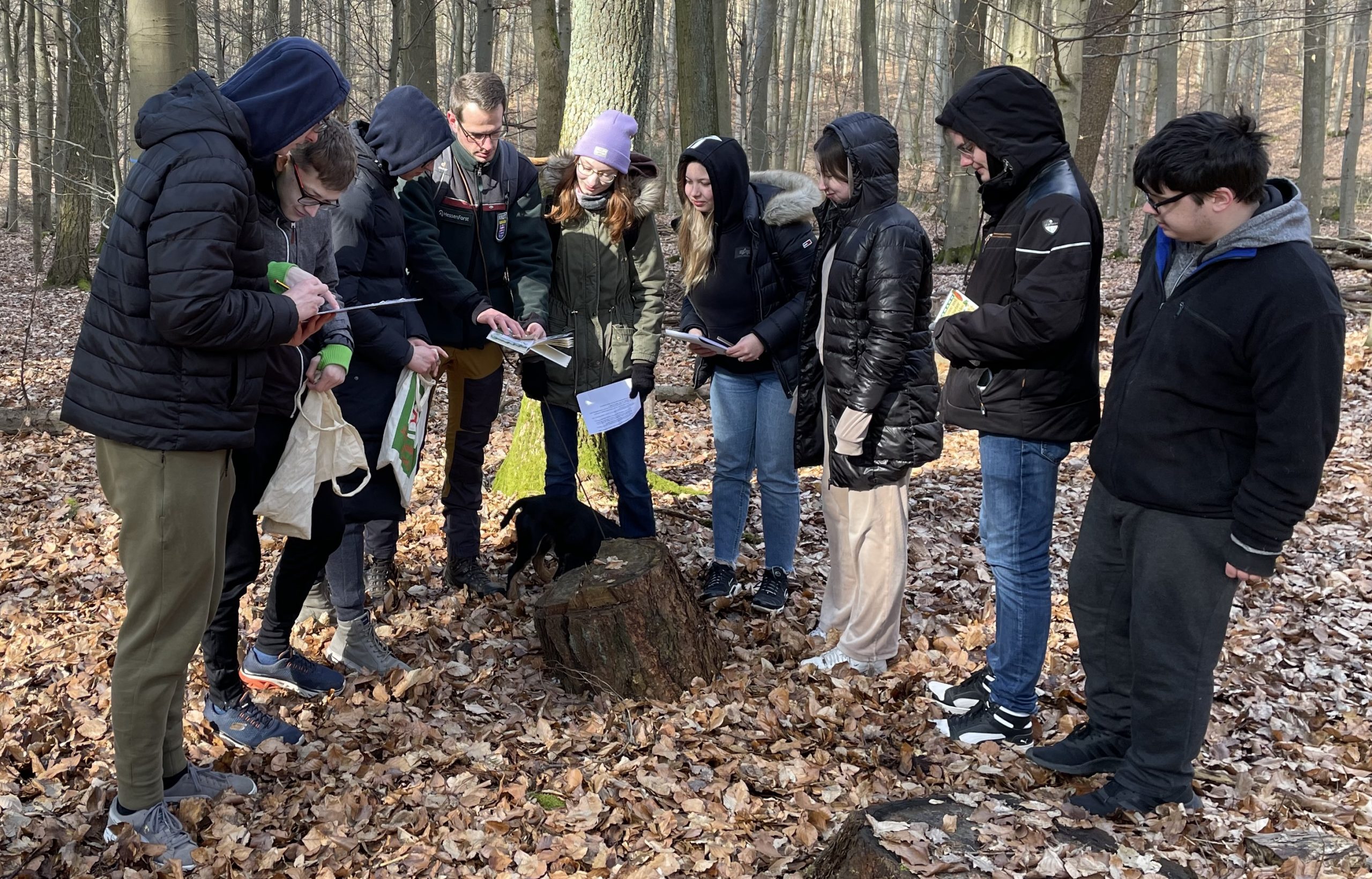 Schüler stehen mit Förster David Menke im Wald bei einem abgestorbenen Baumstumpf, der jetzt vielen Insekten einen Lebensraum bietet.