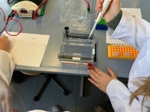 Schülerinnen und Schüler beim Experimentieren