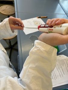 Schülerinnen und Schüler beim Experimentieren