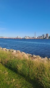 Blick auf Aalborg.