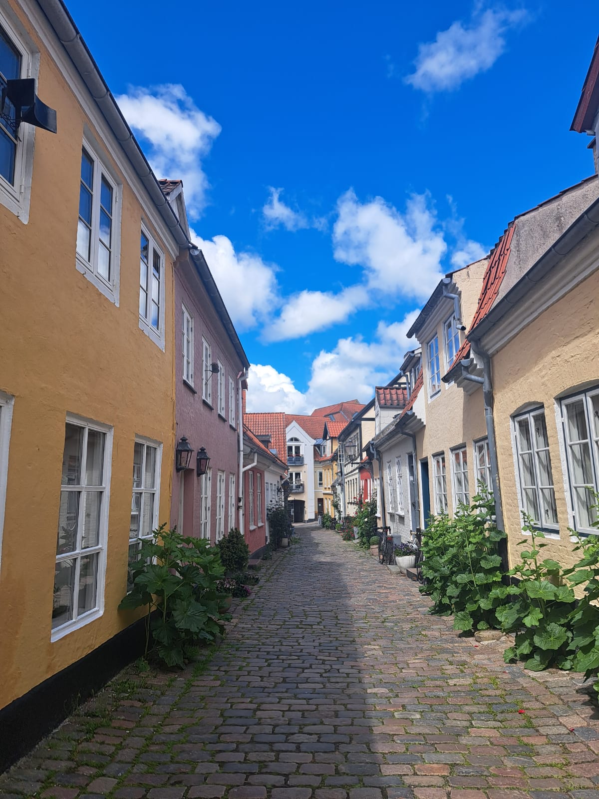 Link zum Beitrag: Hej aus Aalborg!🇩🇰