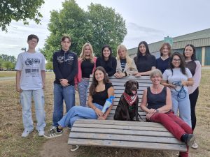 Klasse 12fs a